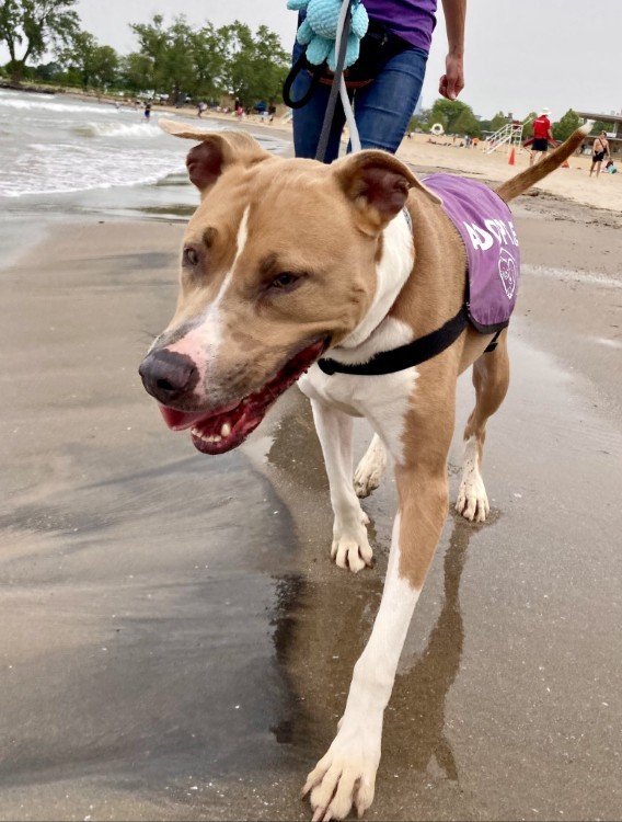 Columbo, who has been at the Cleveland APL for 18 months, on a field trip